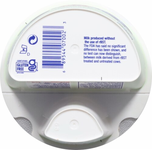 FAGE® BestSelf® Lactose Free With Blueberry Perspective: bottom