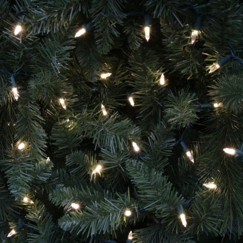 Philips Warm White LED Indoor / Outdoor Christmas Lights Perspective: bottom