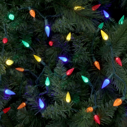 Philips Multi Color LED C6 Indoor / Outdoor Christmas Lights Perspective: bottom