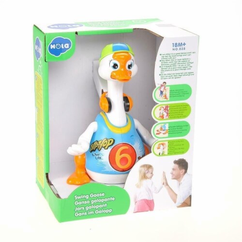 Hip hop sales swing goose