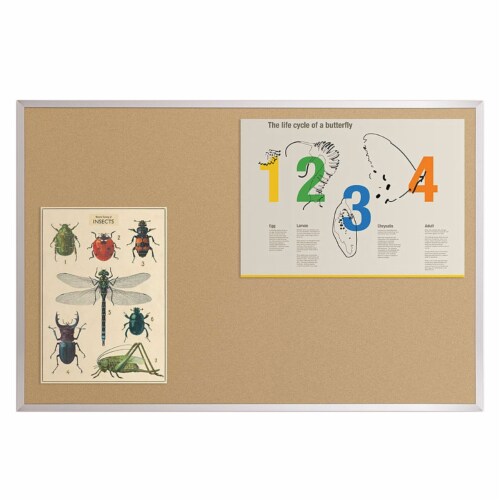 Kaplan Early Learning Valu-Tak Tackboard 36" x 48" Perspective: bottom