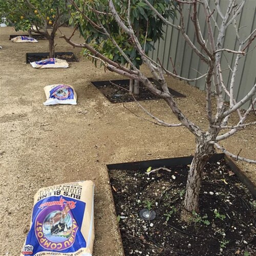 Malibu Compost (#100507245) Bu�s Blend Biodynamic Compost- 12 qt Perspective: bottom