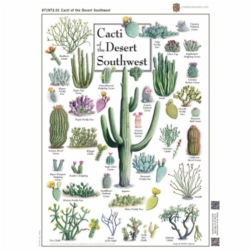 Cacti of the Desert Southwest 1000 Piece Linen Jigsaw Puzzle Perspective: bottom