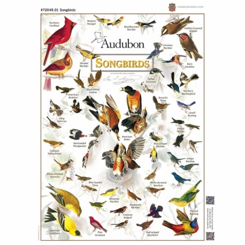 Audubon Songbird 1000 Piece Jigsaw Puzzle Perspective: bottom