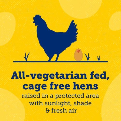 Eggland's Best Cage Free Large Brown Organic Eggs Perspective: bottom