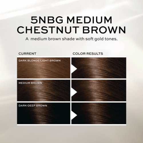 John Frieda Precision Foam Colour Brown Permanent Hair Color Dye Kit, 5NBG Medium Chestnut Brown Perspective: bottom