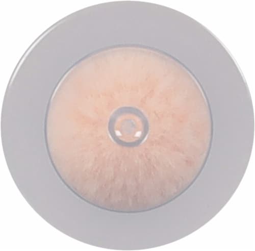 Milani Conceal + Perfect Liquid Contour Lightweight & Blendable 04 Cocoa Perspective: bottom