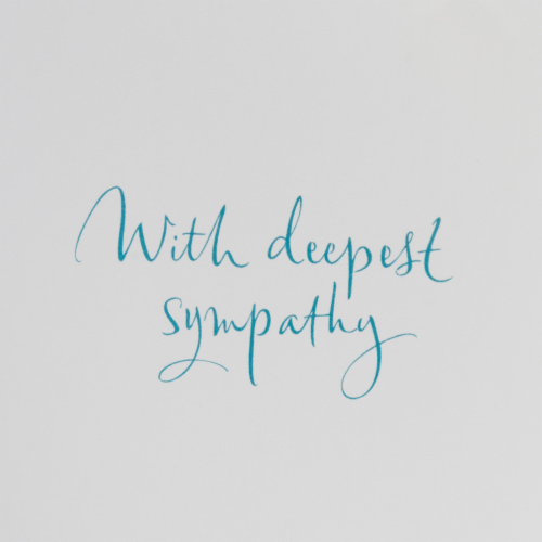 Hallmark #2 Sympathy Card (Seascape with Birds) Perspective: bottom