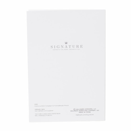 Valentine's Day Card #28: Hallmark Signature Valentine's Day Card for Significant Other (You and Me) Perspective: bottom