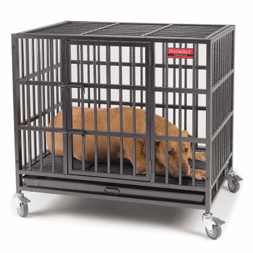 Proselect dog cage deals
