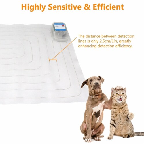 Dog care pet training mat clearance