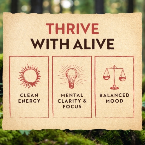 GT's Alive Root Beer Ancient Mushroom Elixir Drink Perspective: bottom