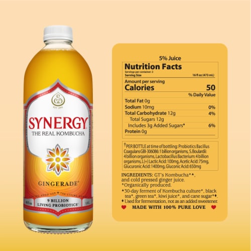 Synergy The Real Kombucha, Gingerade Perspective: bottom