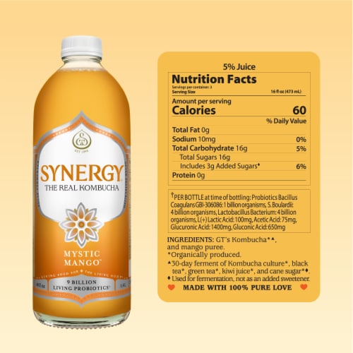 Synergy The Real Kombucha, Mystic Mango Perspective: bottom