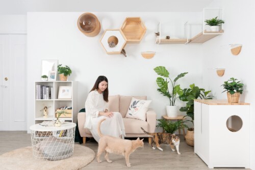 Myzoo cat furniture hot sale