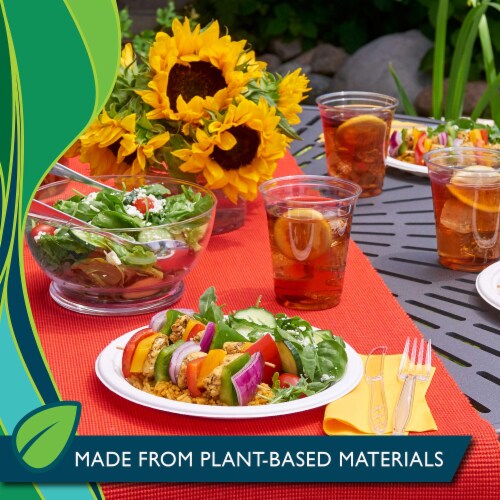 Hefty ECOSAVE Compostable Paper Plates (Pack of 32) Perspective: bottom
