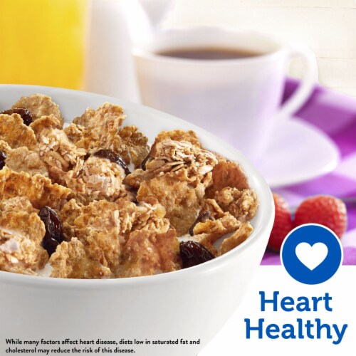 Kellogg's Raisin Bran Original Breakfast Cereal (Pack of 12) Perspective: bottom
