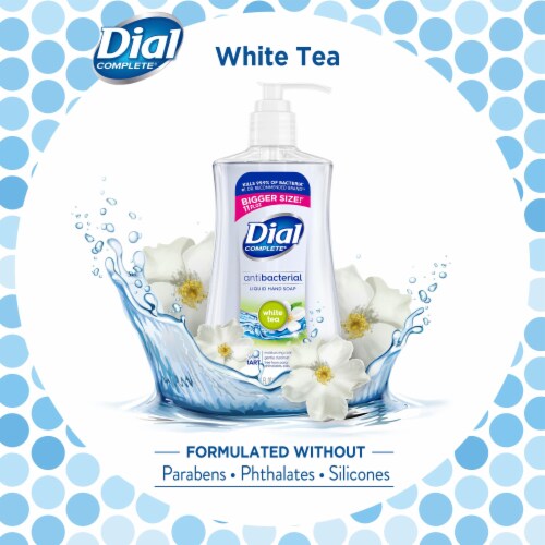 Dial hand soap 4 pack cheap
