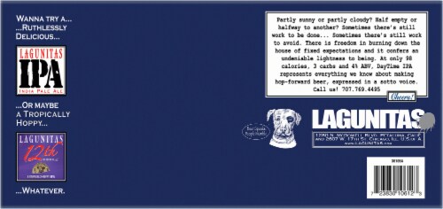 Lagunitas DayTime IPA Craft Beer Cans Perspective: bottom