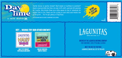 Lagunitas DayTime IPA Craft Beer Cans Perspective: bottom