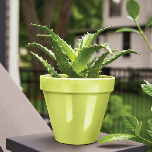 Krylon® Colormaxx Gloss Citrus Green Spray Paint & Primer Perspective: bottom