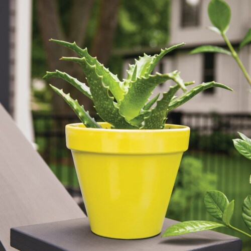 Krylon® ColorMaxx Gloss Sun Yellow Indoor/Outdoor Spray Paint and Primer Perspective: bottom