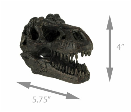 Zeckos - Tyrannosaurus Rex Dinosaur Head Fossil Statue Small