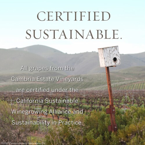 Cambria Julia's Vineyard Pinot Noir California Red Wine Perspective: bottom