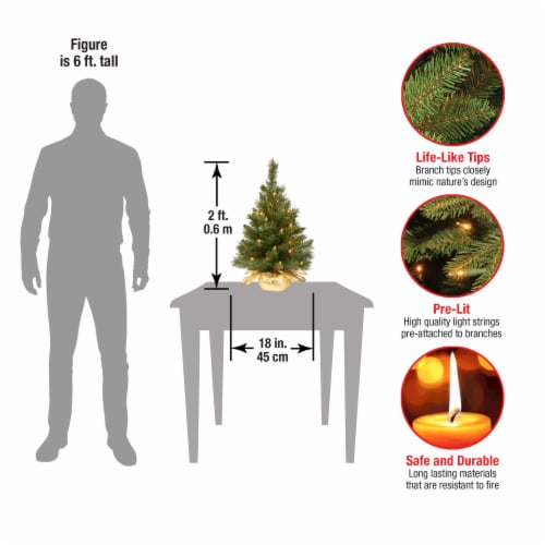 National Tree Company 24 Majestic Fir Tree with Clear Lights Perspective: bottom