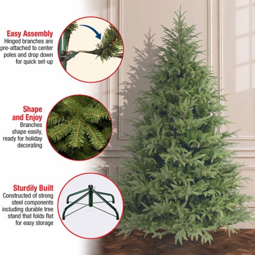 Frasier grande sales christmas tree