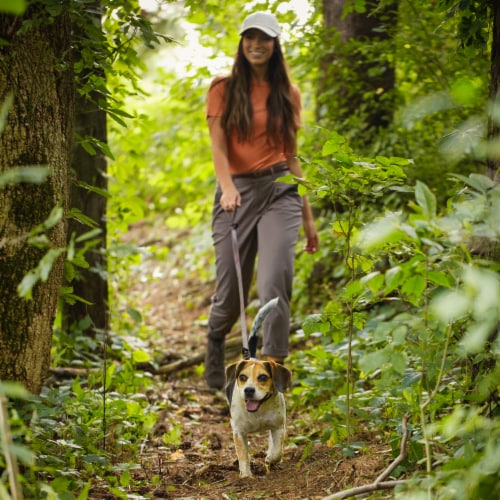 Nature's Recipe® Grain Free Small Breed Dry Dog Food Chicken, Sweet Potato & Pumpkin Perspective: bottom