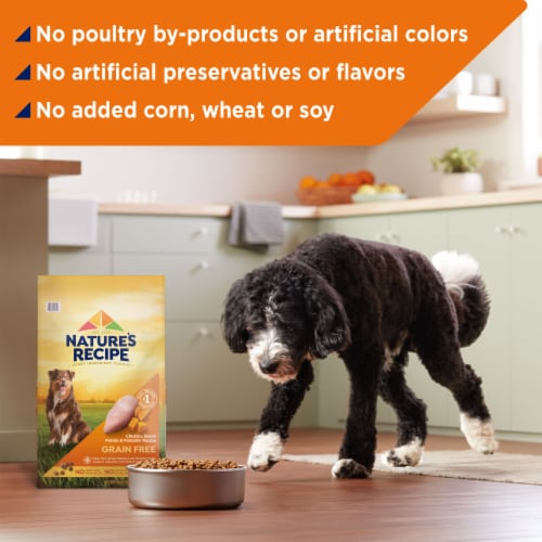 Nature's Recipe® Grain Free Adult Dry Dog Food Chicken, Sweet Potato & Pumpkin Perspective: bottom