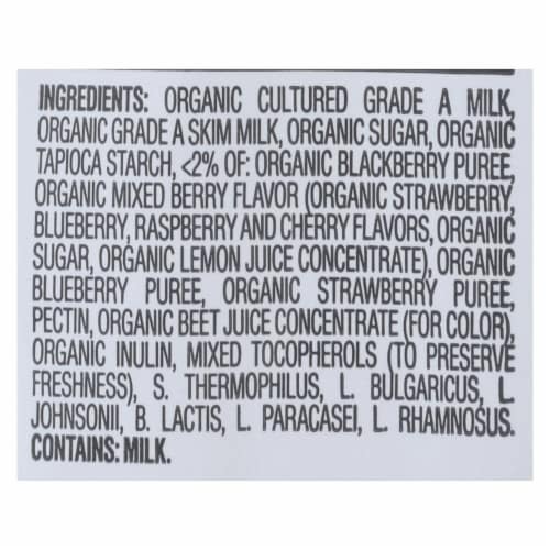 Happy Baby Organic Mixed Berry Yogurt Snack Perspective: bottom