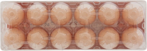 Nest Fresh™ Free Range Non-GMO Large Brown Eggs Perspective: bottom