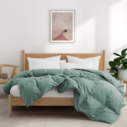 Puredown Organic Cotton Down Feather Comforter Twin Size All Season 68X88 Steel Blue Twin Mariano s