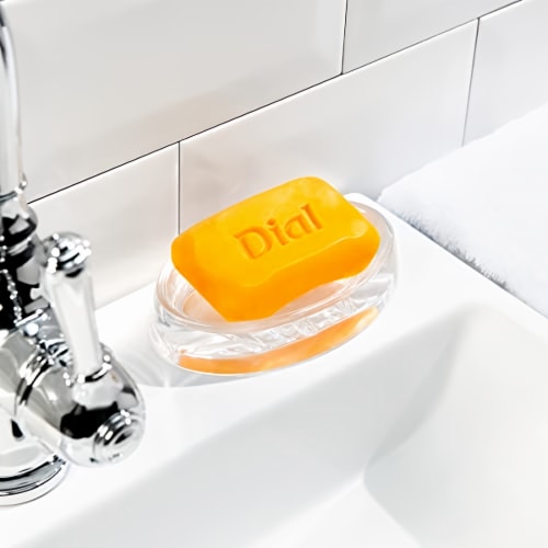 Dial antibacterial dish soap online