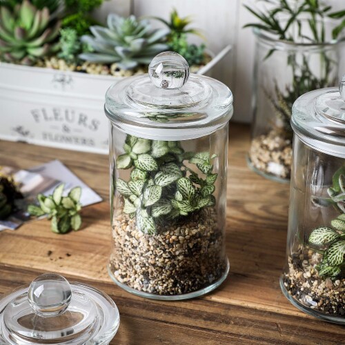 Small Glass Apothecary Candy Jar - Cylinder With Lid