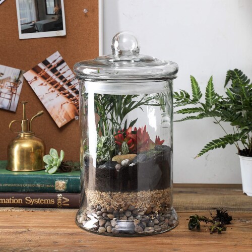1.4 Gal Glass Apothecary Jar, 7.5x14Inch Canister Set with Ball Lid 1 Piece Perspective: bottom