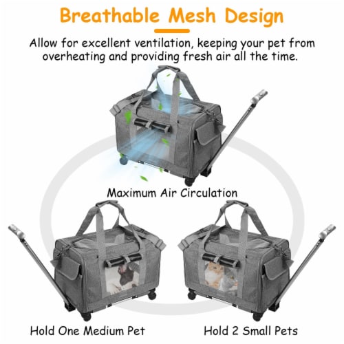 Grey Edge Airline Approved Rolling Pet Carrier With Wheels For Cats And Dogs 1 Set Pick n Save