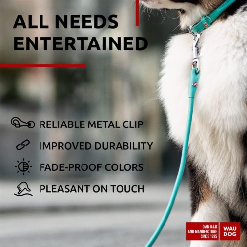 6ft dog lead shop