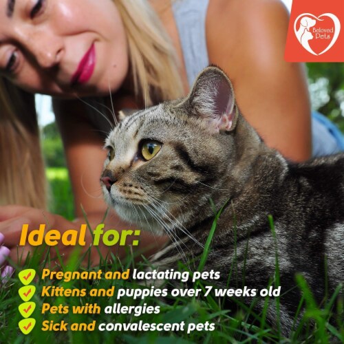 Beloved Pets Flea Tick Prevention Natural Treatment Topical Repellent 3 Drops 1 Pack Mariano s