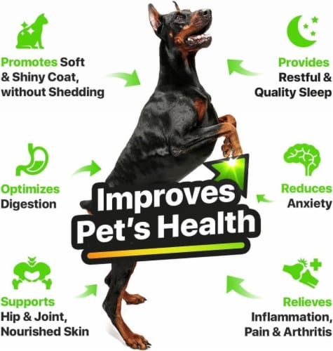 Charlie Buddy Hemp Salmon Oil For Dogs Skin Coat Health Anxiety Relief 1 Ct 1 oz Kroger