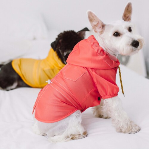 Designer dog raincoat discount