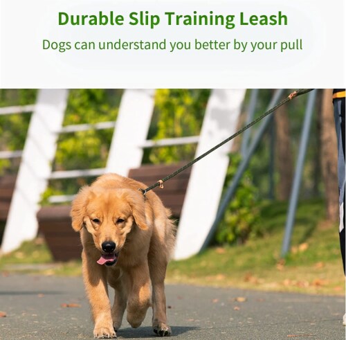 Training leash for small dogs hotsell