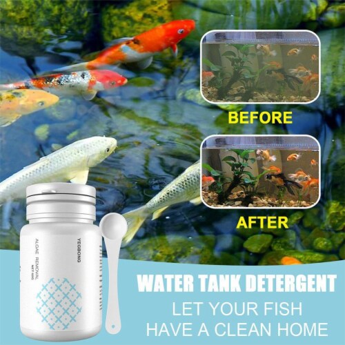 Algae tablets for fish shop