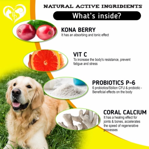 Fast Relief Dog Allergy Chews Relieve Itchiness 1 Pack Kroger