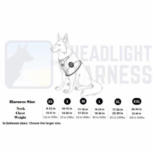 Headlight Harness Headlight Harness 1 Pack QFC