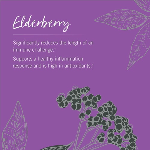 Gaia Herbs Black Elderberry Liquid Phyto Capsules 10g Perspective: bottom