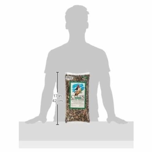 Coles Wild Bird Product Special Bird Food Feeder Perspective: bottom