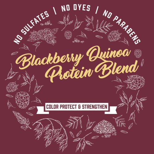4th Ave Market: Aveeno Scalp Soothing Blackberry Quinoa Protein Blend Shampoo (Pack of 6) Perspective: bottom
